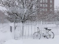 Photo of bicycle tied on Pleasant street in New Bedford.   [ PETER PEREIRA/THE STANDARD-TIMES/SCMG ]