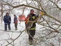 New Bedford firefighters clear a downed tree on Walter E. Fuller Memorial Pkwy in New Bedford on January 4, 2017 as heavy snow falls across the region.  [ PETER PEREIRA/THE STANDARD-TIMES/SCMG ]