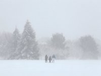 Three people are seen crossing the expanse of the Buttonwood Park as heavy snow fall across the region.  [ PETER PEREIRA/THE STANDARD-TIMES/SCMG ]