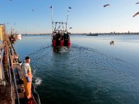 1007935253 ma nb Fishing  A fishing boat leaves Bernies Seafood in New Bedford after unloading its catch at Bergie's Seafood in New Bedford.   PETER PEREIRA/THE STANDARD-TIMES/SCMG : fishing, waterfront, fisherman, boat, catch, fish