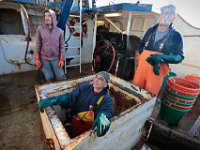 1007935253 ma nb Fishing  Crewmember, Paulo Mano, and lumpers, Chris Silva and Steve Lacomb, prepare to start unloading the fishing boat United States at Bergie's Seafood in New Bedford.   PETER PEREIRA/THE STANDARD-TIMES/SCMG : fishing, waterfront, fisherman, boat, catch, fish