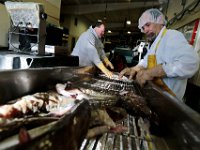 1007935253 ma nb Fishing  Bergie's Seafood owner Mark Bergeron, left, and Joe Verissimo sort the cod being unloaded by the fishing boat United States, at his processing facility in New Bedford.   PETER PEREIRA/THE STANDARD-TIMES/SCMG : fishing, waterfront, fisherman, boat, catch, fish