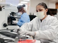 Lab tech, Desiree Soares, runs blood tests in the lab at Tobey Hospital in Wareham.  PHOTO PETER PEREIRA