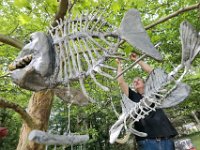 Charles Hauck installs some of his creations throughout the Buttonwood Park Zoo as part of the DATMA (Design Art & Technology Massachusetts) "Summer Winds" program.  PHOTOGRAPHER NOTE: When the Buttonwood Park Zoo reached out to me to tell me that local artist Chuck Hauck was installing his creations all over the place, I was on it!  It's always great so see institutions like the zoo branch out, out of their normal realm, and showcase art work!  Mr. Hauck's creations are just fantastic.  Designed to move with the wind, they were a perfect fit for the "Summer Winds" theme.  Photographically it's a waiting game.  He puts one up, you photograph, He puts two up, you take the photo.  He puts 6 up and you are still taking the photos, but you start to see a pattern.  It was only a matter of time where two pieces were in close enough proximity to fill in the frame.  Patience is a virtue!   [ PETER PEREIRA/THE STANDARD-TIMES/SCMG ]