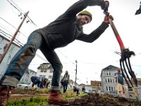 Nate Sander of Round the Bend Farm, tills the soil by hand as he and fellow volunteers from UMass Dartmouth, BCC and Round the Bend Farm, weed and plant various vegetables in the planters in front of the Sister Rose House in the south end of New Bedford, MA on April 30, 2019.