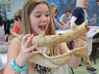 Acushnet Elementary school fourth grader, Sarah Cabral, 10, compares her jaw with that of a bull shark which was brought to Sea Lab by Mystic Aquarium instructors during their weekly visit Sea Lab in the south end of New Bedford.  [ PETER PEREIRA/THE STANDARD-TIMES/SCMG ]