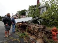 Nicholas LeBlanc and his father Drew LeBlanc look at the tree that fell onto the home they live in on Maple Street in New Bedford, while they were having breakfast.