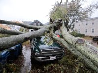 A large tree fell onto a pickup truck in Fairhaven, MA on October 27, 2021 as a nor'easter slams into the region.