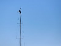 Ed Vankeuren of Buzzards Bay Yacht Services, finds himself seventy feet above Mattapoisett harbor as he repairs the lines that run inside the mast of a large sailboat.