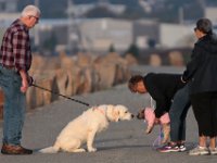 Sandra Araujo, right, looks on as Regina Gomes introduces her dog Lucky to Jonah, who was walking with its owner Patrick Hunt atop the hurricane barrier at Fort Phoenix in Fairhaven when they ran into each other.
