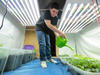 ma nb WhalingCitySchool  Taylor Knickerbocker, 16, waters the plants in the makeshift greenhouse that students and teachers built at the Whaling City Alternative School in New Bedford.   PETER PEREIRA/THE STANDARD-TIMES/SCMG : education
