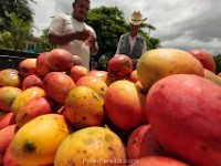 honduras03