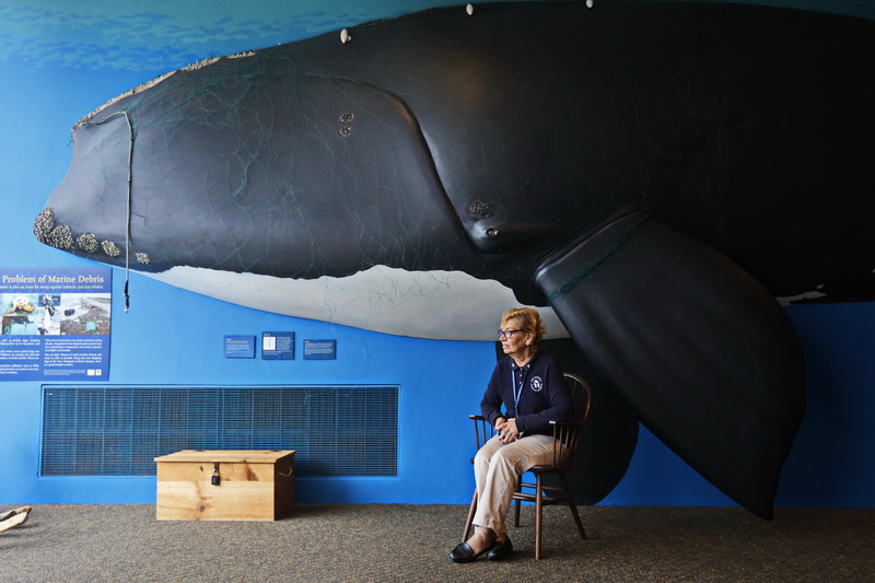 Paula Cabral, who has been a docent at the Whaling Museum for over 10 years, waits for her next batch of students under the watchful eye of a relief statue of a right whale, inside the iconic New Bedford, MA museum. PHOTO PETER PEREIRA