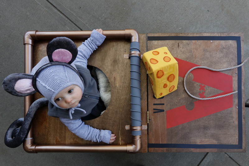 Little mouse, Olive Keogh, 10 months, finds herself trapped in the mouse trap she rides at the Annual Baby BOO held at Buttonwood Park Zoo in New Bedford, MA.  PHOTO PETER PEREIRA