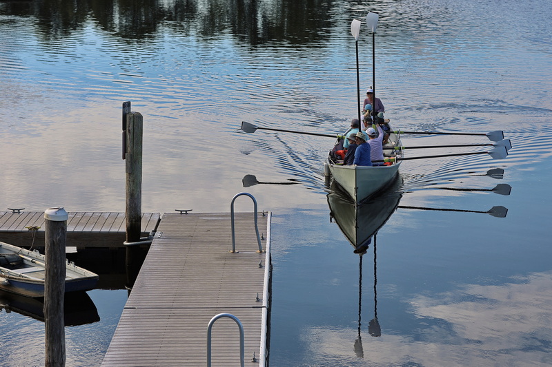 Members of Dharma Voyage rowing club lift their oars as they prepare to dock at the Hix Bridge Boat Launch on September 16, 2026 in Westport, MA after a morning row on the Westport River. PHOTO PETER PEREIRA