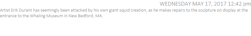 Artist Erik Durant has seemingly been attacked by his own giant squid creation, as he makes repairs to the sculpture on display at the entrance to the Whaling Museum in New Bedford, MA.