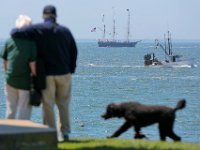 _N8A5149  PHOTO PETER PEREIRA/The Standard-Times  ++   A couple looks from Avery Point in Groton, CT as the Charles W. Morgan maker its way to New London CT.  The Charles W. Morgan whaleship makes her way from Mystic Seaport in Mystic, CT to New London, CT past Avery Point in Groton, CT  in the first leg of the journey that will see it return to New Bedford in June.