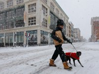 Andrew Kepinski and his dog cross a deserted Union Street in downtown New Bedford as another late season snow storm rolls over the region.   [ PETER PEREIRA/THE STANDARD-TIMES/SCMG ]
