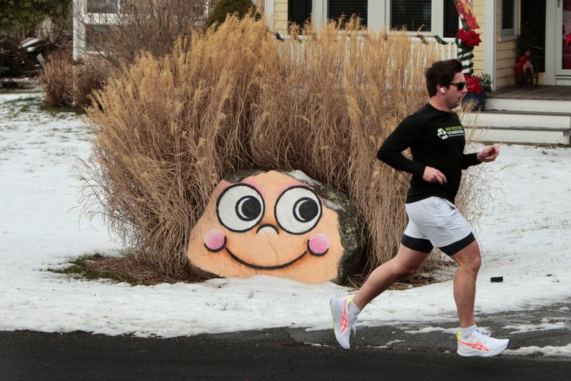 A rock with a full head of hair keeps its eyes on a man going for a hair raising run up Smith Neck Road in Dartmouth, MA. PHOTO PETER PEREIRA