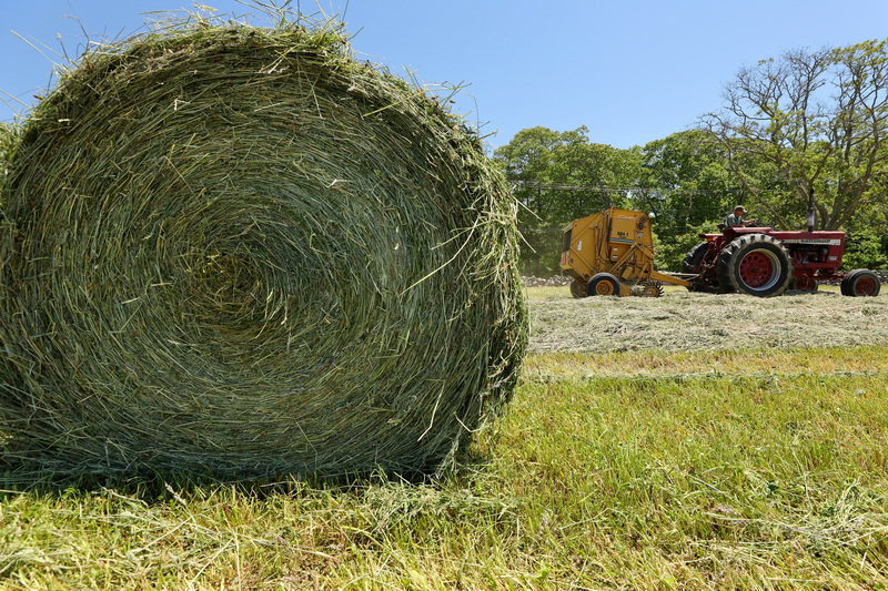 Darrin Mendes uses a hay baler to automatically roll the cut hay into bales at a farm in Dartmouth, MA. PHOTO PETER PEREIRA