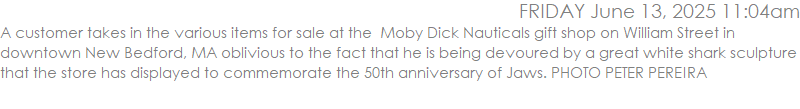 A customer takes in the various items for sale at the  Moby Dick Nauticals gift shop on William Street in downtown New Bedford, MA oblivious to the fact that he is being devoured by a great white shark sculpture that the store has displayed to commemorate the 50th anniversary of Jaws. PHOTO PETER PEREIRA