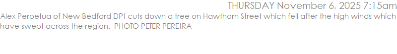Alex Perpetua of New Bedford DPI cuts down a tree on Hawthorn Street which fell after the high winds which have swept across the region.  PHOTO PETER PEREIRA